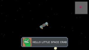 Hermit Crab In Space